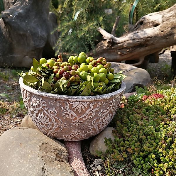 K&L Wall Art Blumentopf Orientalischer Beton günstig online kaufen