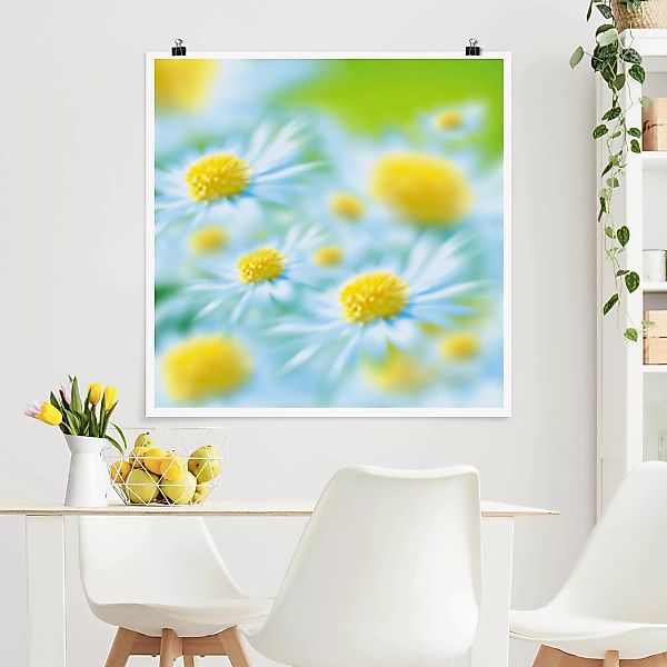 Poster - Quadrat Daisy günstig online kaufen