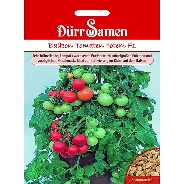 Dürr Samen Balkontomaten Totem F1 Saatgut günstig online kaufen