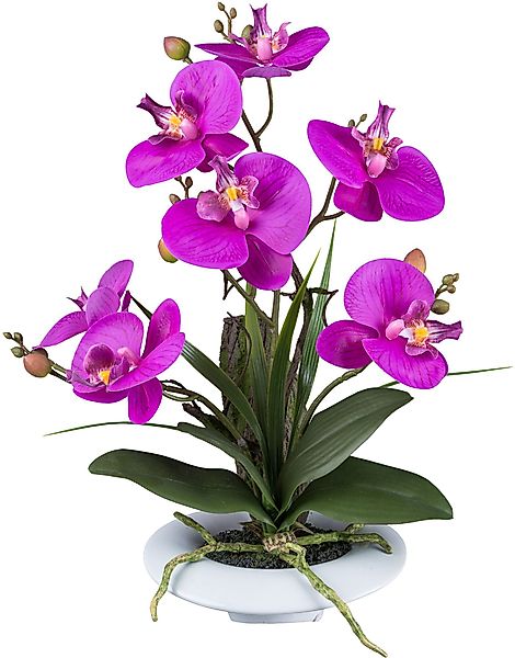 Kunstorchidee Orchidee Phalaenopsis, Creativ green, Höhe günstig online kaufen
