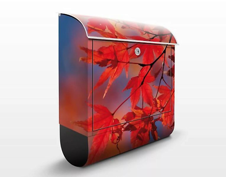 Briefkasten Natur & Landschaft Red Maple günstig online kaufen