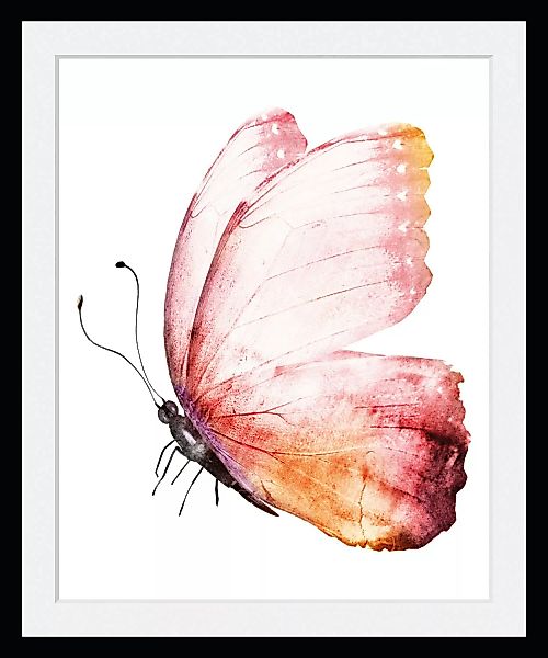queence Bild "Cooper", Schmetterlinge, (1 St.) günstig online kaufen