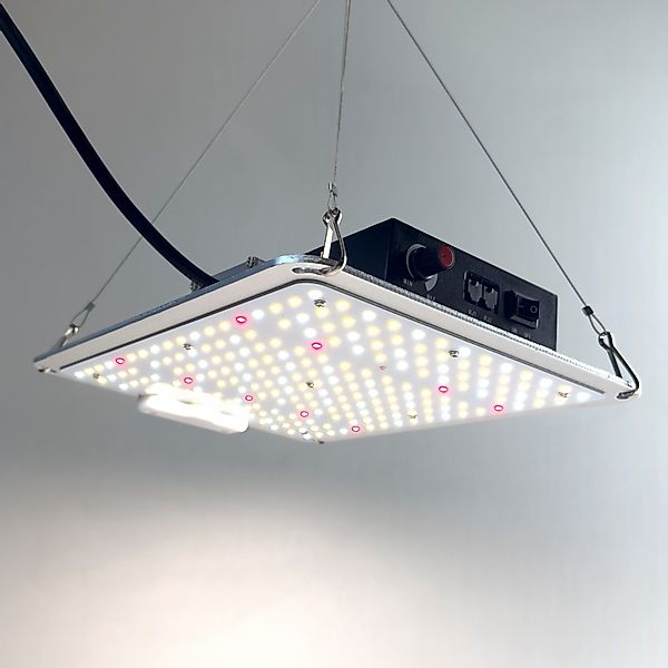 TEUTO Licht Pflanzenlampe Grow Lampe CANDY günstig online kaufen