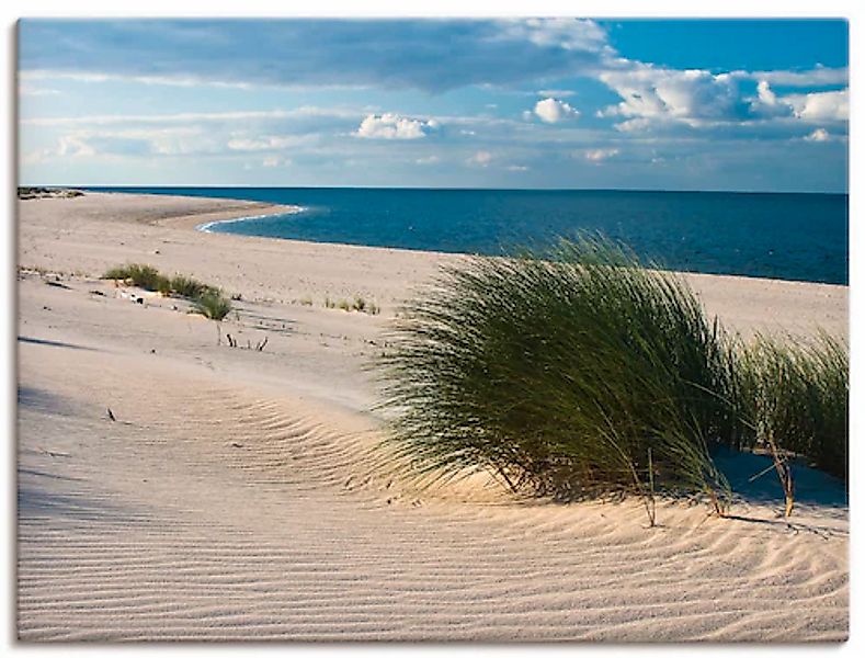 Artland Wandbild »Gras am Strand«, Strand, (1 St.), als Alubild, Outdoorbil günstig online kaufen