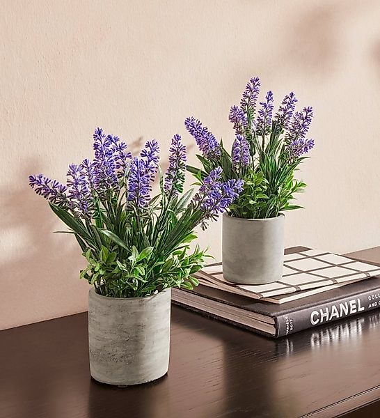Kunstpflanze Effetamo Lavendel, my home, Höhe 23 cm, im Topf, 2er Set günstig online kaufen