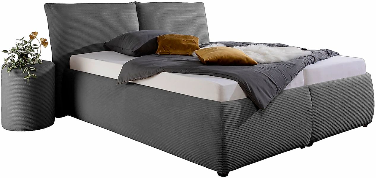 Maintal Polsterbett "Wiesenbach, mit Cord-Bezug" wahlweise in Härtegrad H2, günstig online kaufen