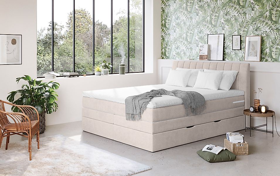 COTTA Boxspringbett »Shark inkl. Bettkasten und Topper« erhältlich in den B günstig online kaufen
