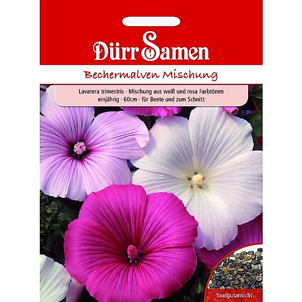 Dürr Samen Bechermalve Mischung Weiß Und Rosa Einjährig Saatgut günstig online kaufen