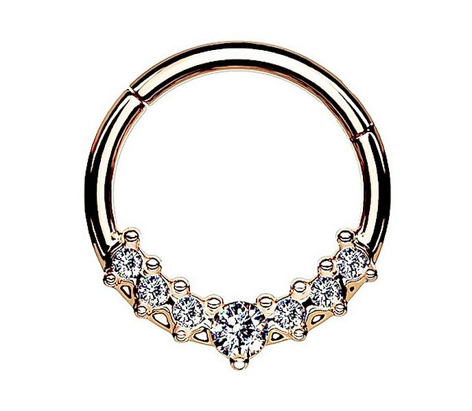 Taffstyle Nasenpiercing Septum Piercing Ring Segmentring Clicker Scharnier günstig online kaufen