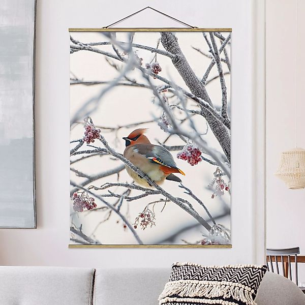 Stoffbild Tiere mit Posterleisten - Hochformat Seidenschwanz im Baum günstig online kaufen