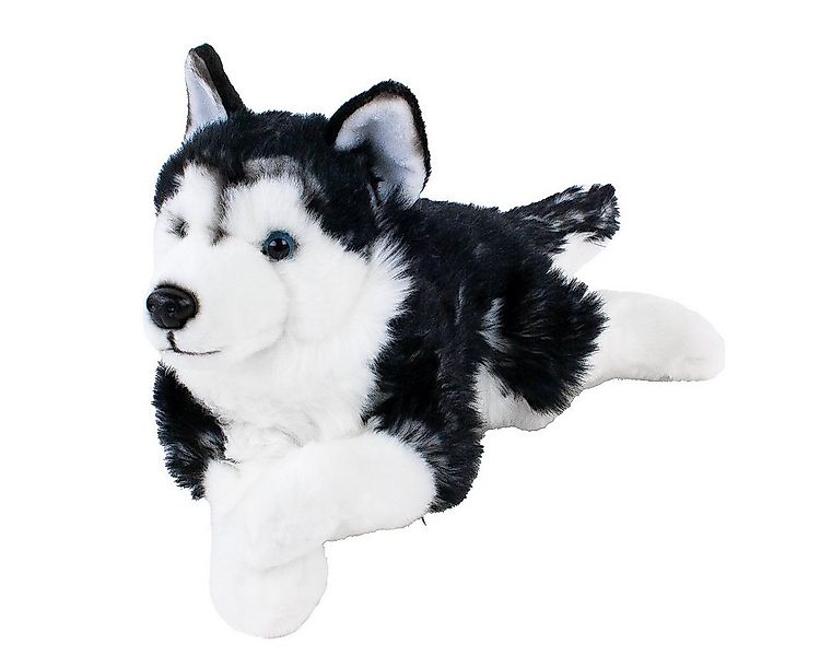 Teddys Rothenburg Kuscheltier Sibirischer Husky liegend schwarz/weiß 38 cm günstig online kaufen