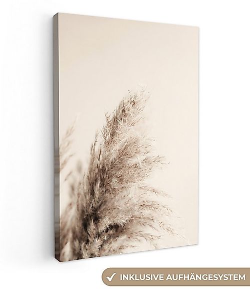 OneMillionCanvasses® Leinwandbild Pflanzen - Pampaswedel - Pampasgras - Bei günstig online kaufen