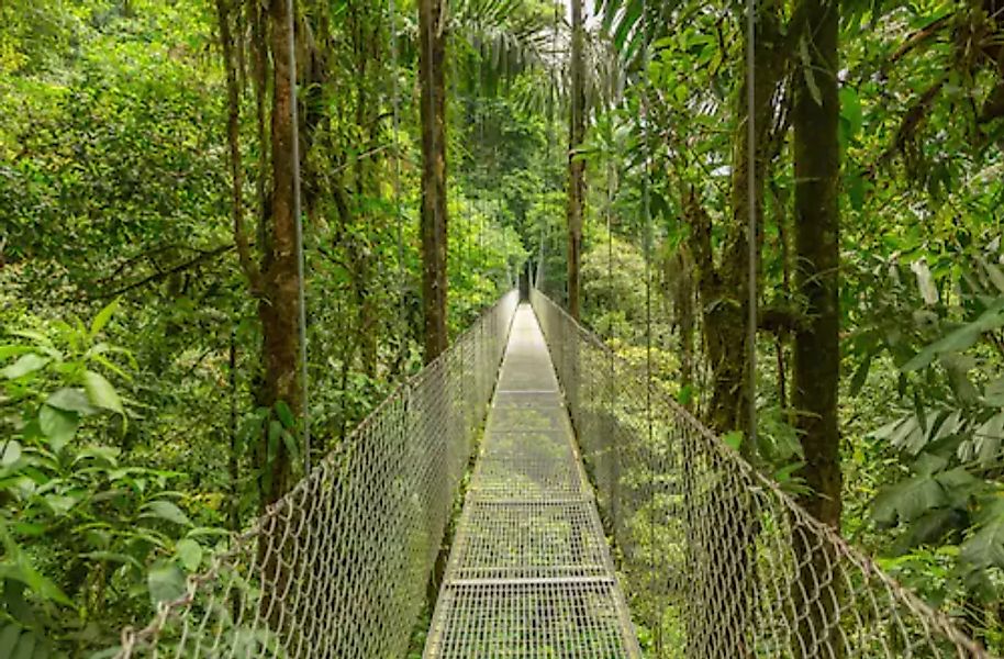 Papermoon Fototapete »Hängebrücke durch Wald« günstig online kaufen