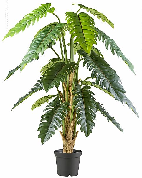 Creativ green Kunstbaum "Philodendron xanadu", mit großformatigem Blattwerk günstig online kaufen