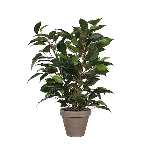 Kunstpflanze Mica Kunstpflanze Ficus Natasja grün günstig online kaufen
