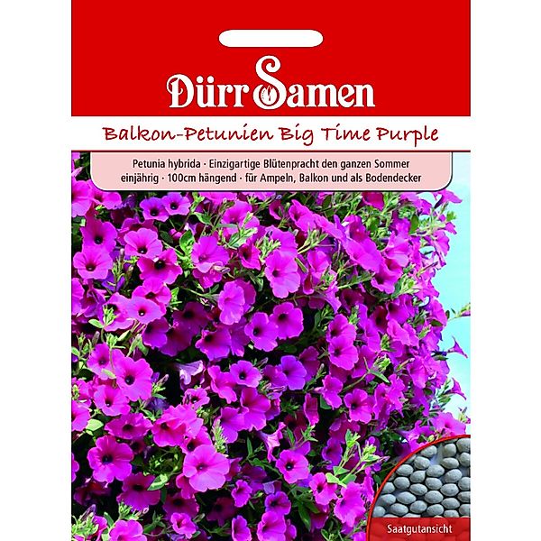 Dürr Samen Petunien Purple Wave F1 Einjährig Saatgut günstig online kaufen