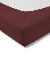 Estella Spannbettlaken Spannbetttuch Zwirn-Jersey, Jersey, Gummizug: günstig online kaufen