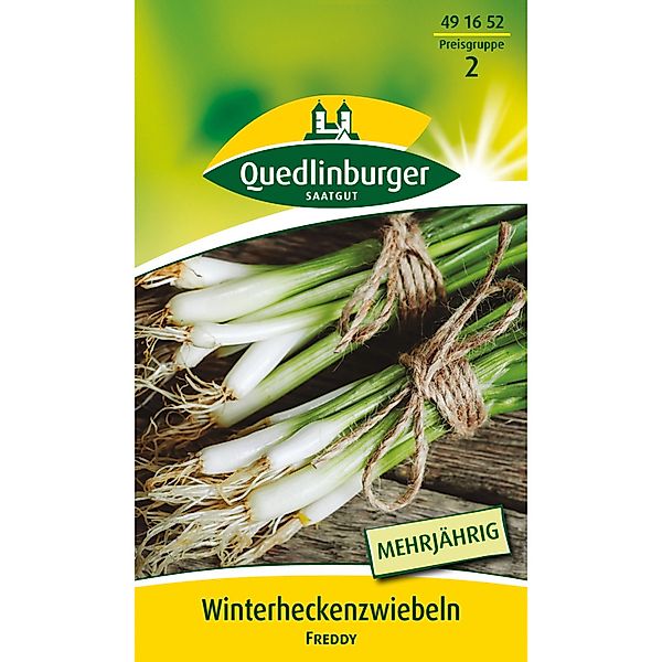 Quedlinburger Winterhecken- Zwiebel ''Freddy'' günstig online kaufen