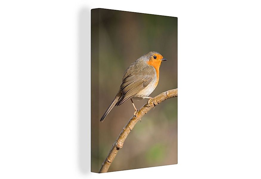 OneMillionCanvasses® Leinwandbild Rotkehlchen - Vogel - Natur, Fotodruck (1 günstig online kaufen