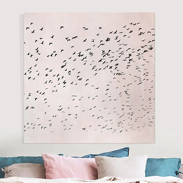 Leinwandbild Vogelschwarm im Sonnenuntergang günstig online kaufen
