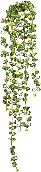 Creativ green Kunstranke "Ficus Barock Blatthänger" günstig online kaufen
