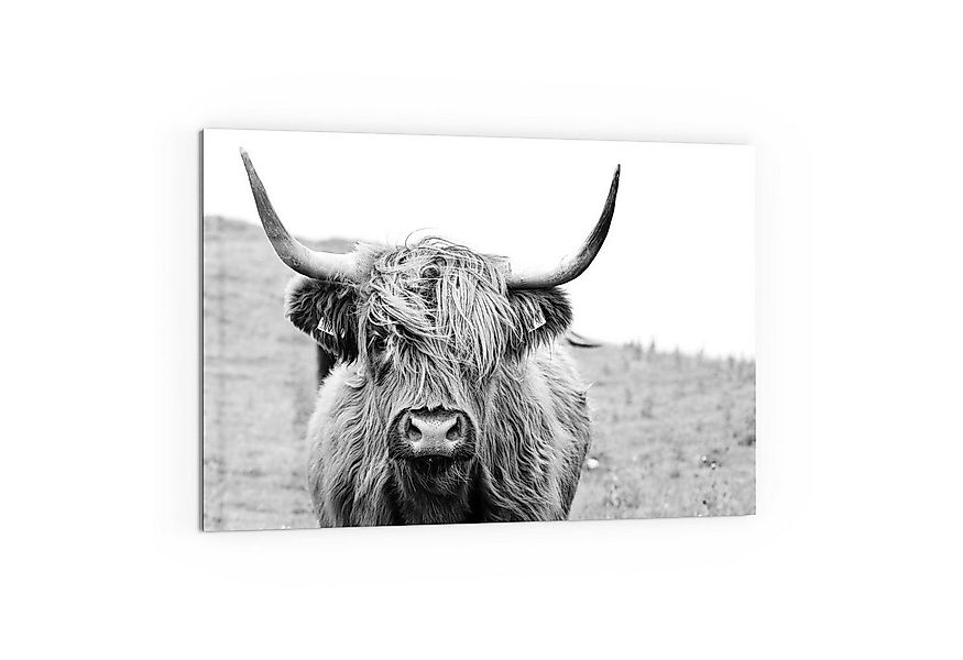 DEQORI Küchenrückwand 'Zotteliges Hochlandrind', Glas Spritzschutz Badrückw günstig online kaufen