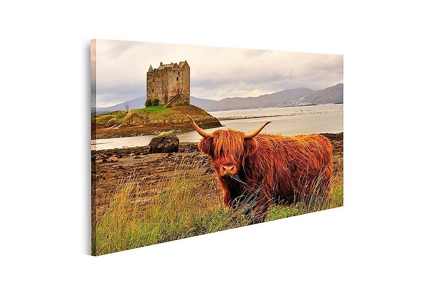 islandburner Leinwandbild Bild auf Leinwand Hochlandkuh Loch Linnhe Schottl günstig online kaufen