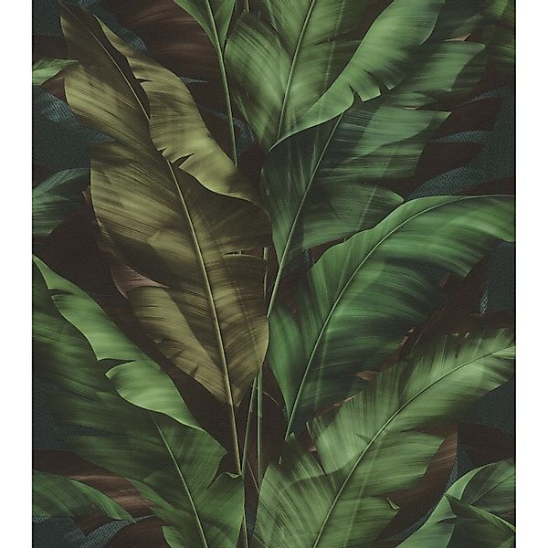 Rasch Vliestapete Rio - Selbstklebende Tapete Dschungel von tesa® x rasch®, günstig online kaufen