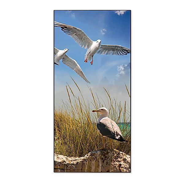 Banjado Magnettafel 37x78cm Magnetwand  Schwarz Aus Metall Magnetpinnwand P günstig online kaufen