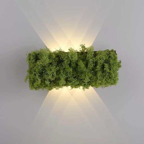 LED Wandleuchte Green Carlo in Moos und Natur-dunkel 4,8W 130lm günstig online kaufen