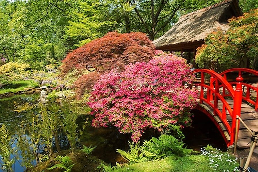 Papermoon Fototapete »GARTEN-BLUMEN BÄUME PFLANZEN STEINE WALD PARK BLÜTEN« günstig online kaufen