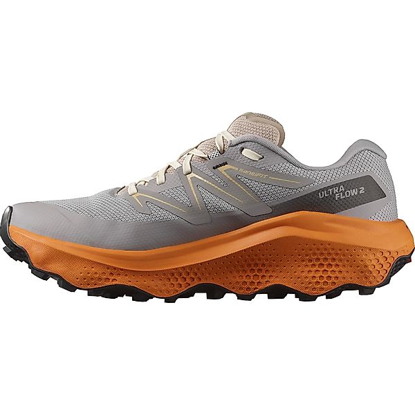 Salomon ULTRA FLOW 2 GORE-TEX Laufschuh günstig online kaufen