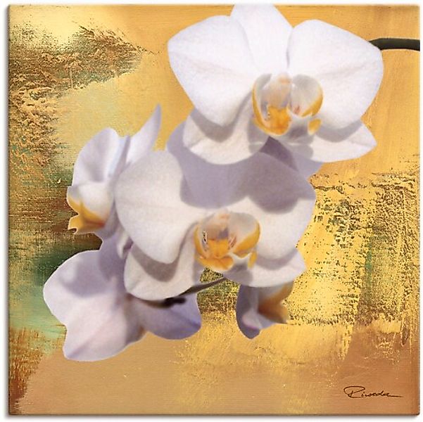 Artland Leinwandbild »Weiße Orchidee II«, Blumen, (1 St.), auf Keilrahmen g günstig online kaufen