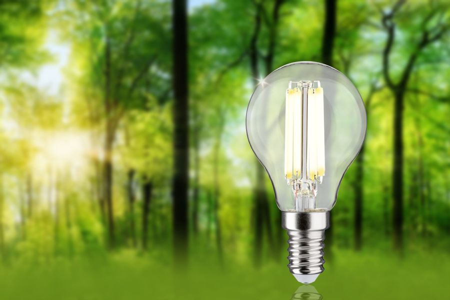 Paulmann LED-Leuchtmittel Eco-Line Filament 230V LED günstig online kaufen