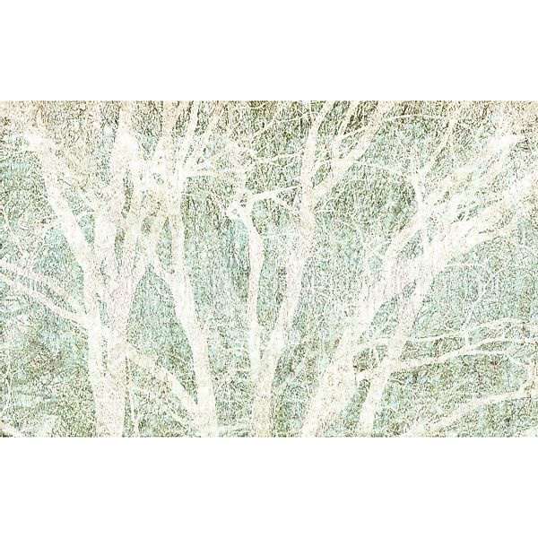 Komar Vliestapete »Digitaldruck Vlies - Peaceful Place - Größe 400 x 250 cm günstig online kaufen