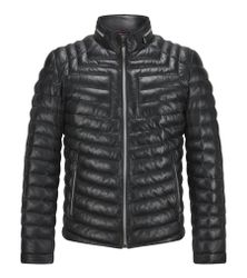 Milestone Lederjacke MSMalik Steppjacke aus Lammleder günstig online kaufen