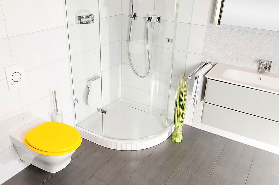 Sanilo WC-Sitz »Basic«, mit Absenkautomatik günstig online kaufen