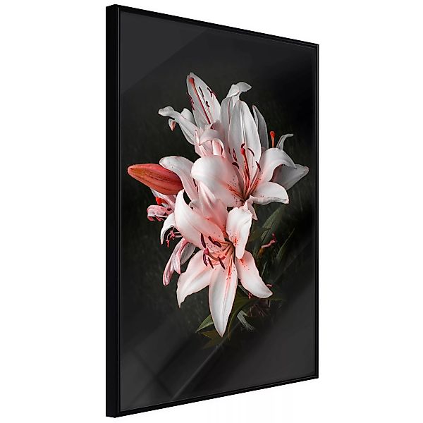 Poster - Pale Pink Lilies günstig online kaufen