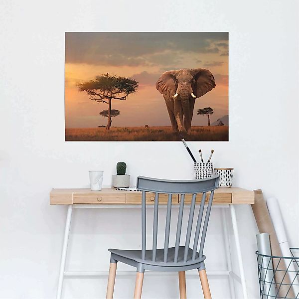 Reinders Poster "Afrikas Wildtiere Elefant", (1 St.) günstig online kaufen