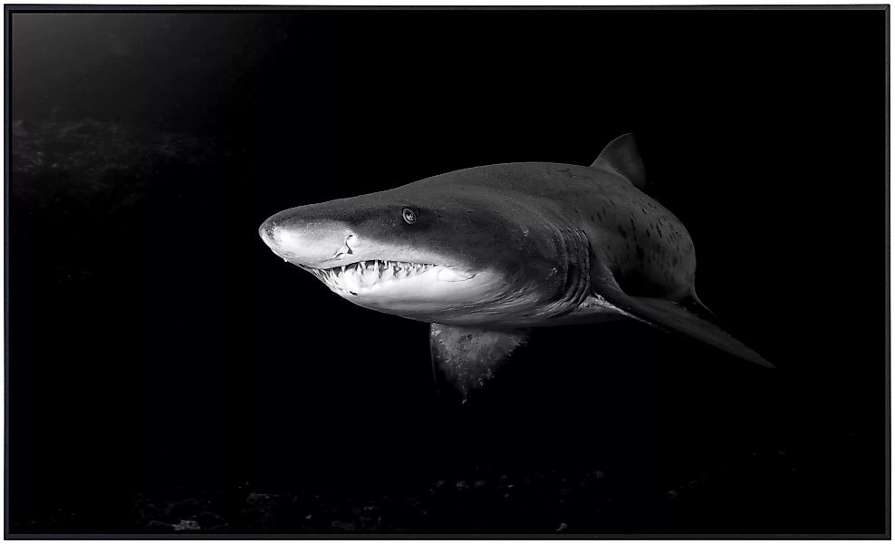 Papermoon Infrarotheizung »Haifisch Schwarz & Weiß«, sehr angenehme Strahlu günstig online kaufen