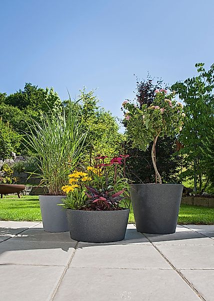 Scheurich Blumentopf 40/239 C-CONE BOWL günstig online kaufen