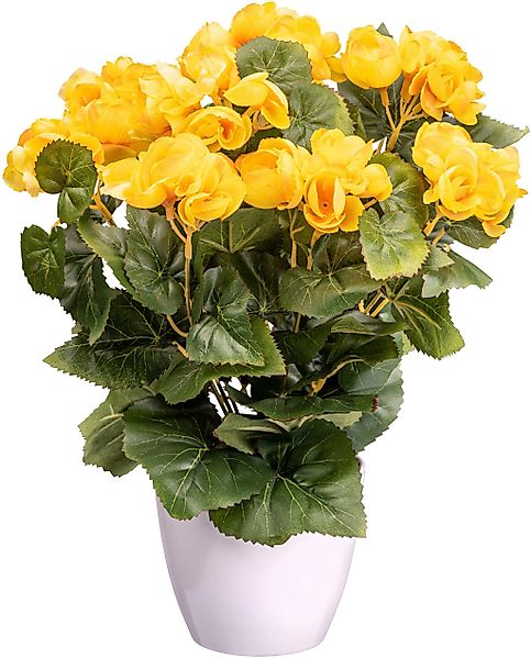 Kunstblume Begonienbusch Begonie, Creativ green, Höhe günstig online kaufen