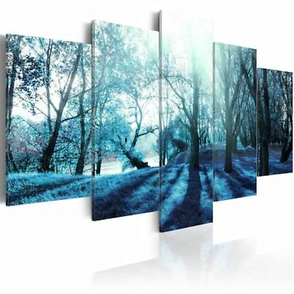 artgeist Wandbild Blue glade mehrfarbig Gr. 200 x 100 günstig online kaufen