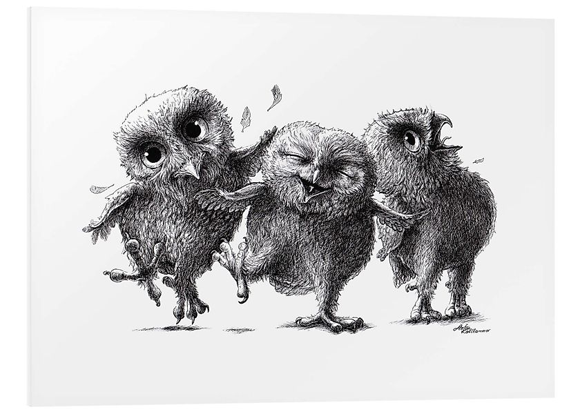 Posterlounge Wandbild Drei verrückte Eulen, Stefan günstig online kaufen