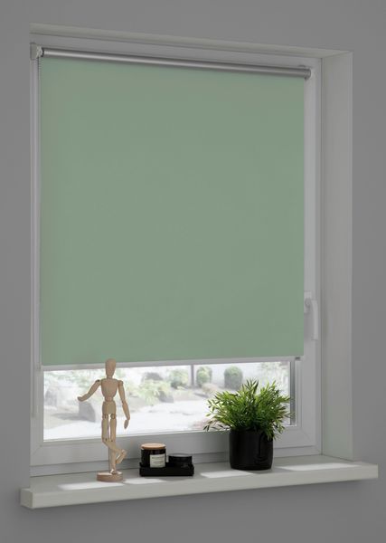 Seitenzugrollo Thermorollo Martha, SCHÖNER WOHNEN-Kollektion, verdunkelnd, günstig online kaufen
