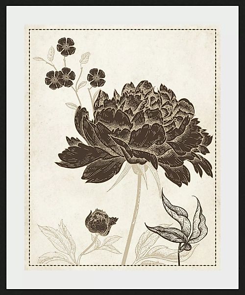 queence Bild "Russel", Blumen, (1 St.) günstig online kaufen