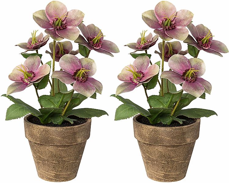 Winterliche Kunstpflanze Weihnachtsdeko Christrose, Creativ deco, Höhe 28 c günstig online kaufen