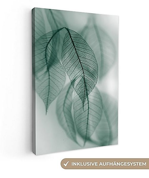 OneMillionCanvasses® Leinwandbild Blätter - Grün - Natur - Stilleben, Fotod günstig online kaufen