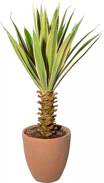 Creativ green Künstliche Zimmerpflanze "Yucca im Terracottatopf" günstig online kaufen