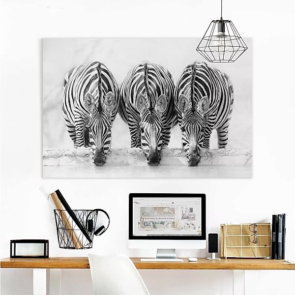 Leinwandbild - Querformat Zebra Trio schwarz-weiß günstig online kaufen